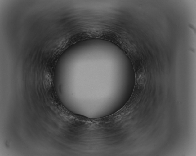 X0000093390772200710191153