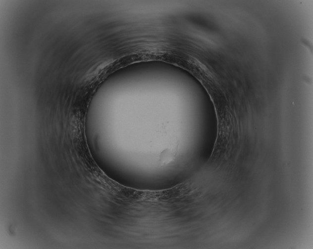 X0000093390773200710191153