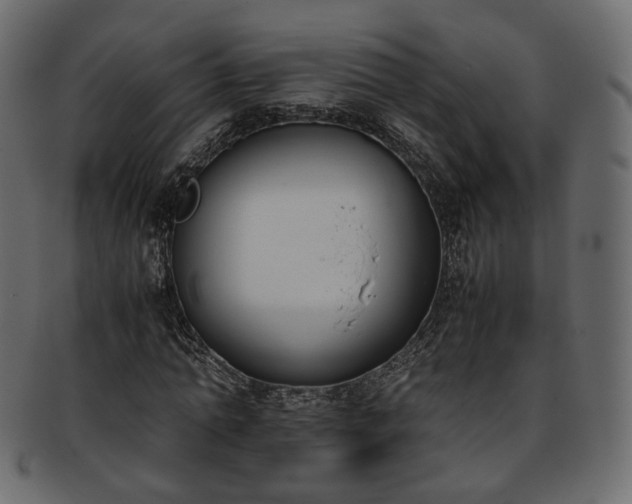 X0000093390774200710191153