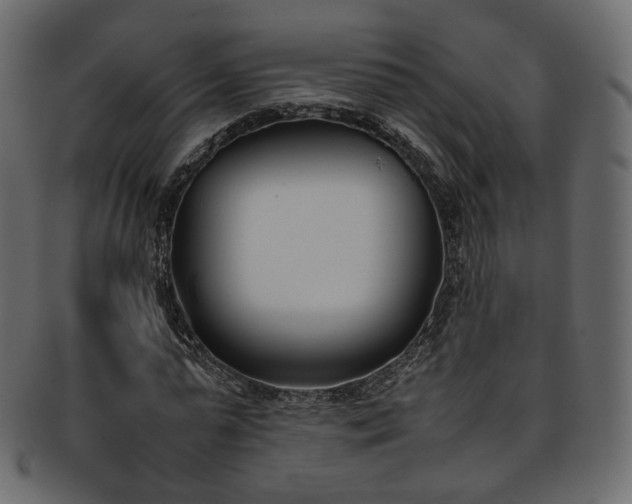 X0000093390775200710191153