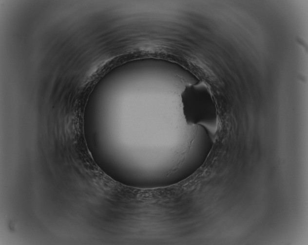 X0000093390776200710191153