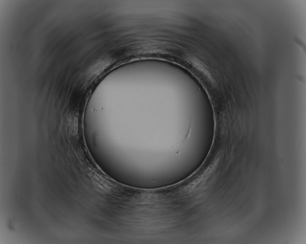 X0000093390777200710191153