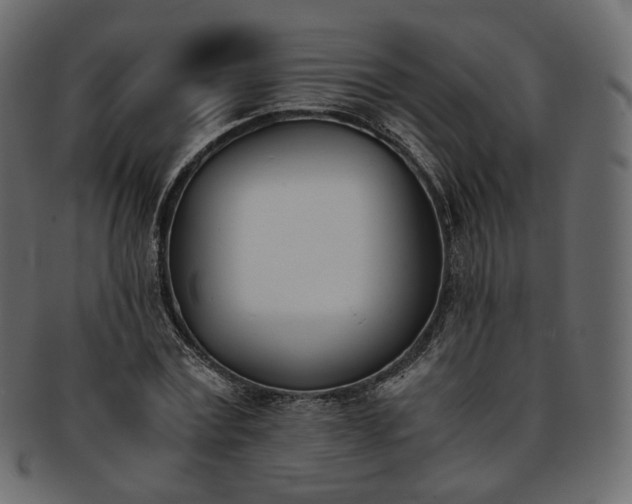 X0000093390779200710191153