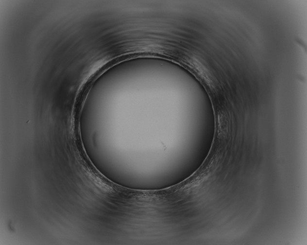 X0000093390780200710191153