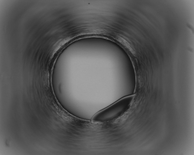 X0000093390781200710191153