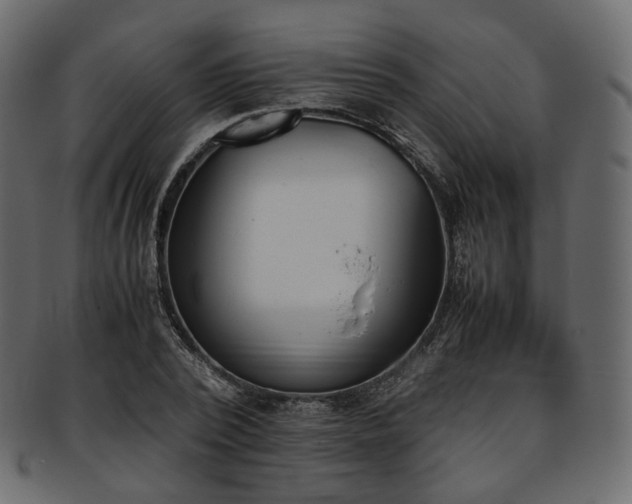 X0000093390784200710191153