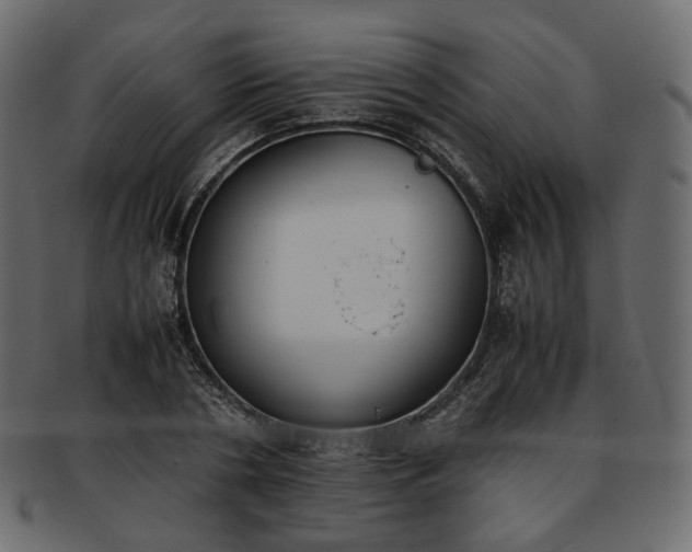 X0000093390786200710191153