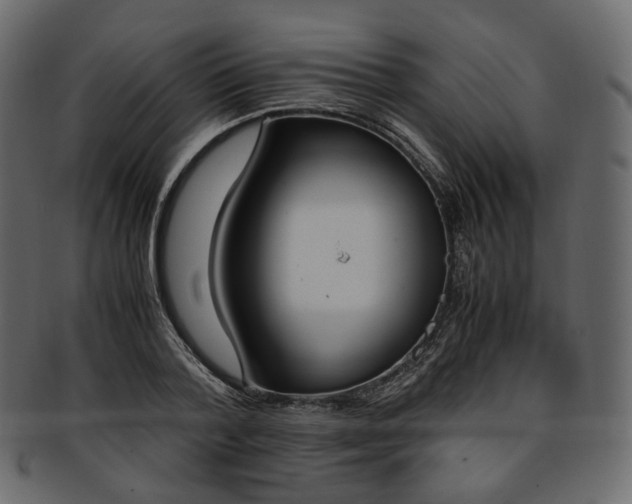 X0000093390788200710191153