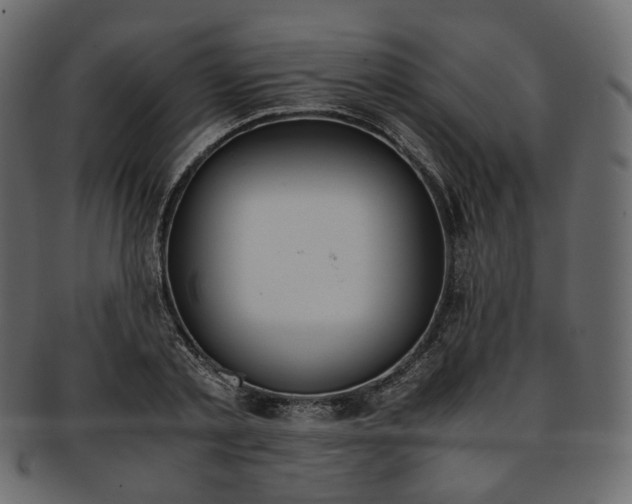 X0000093390789200710191153