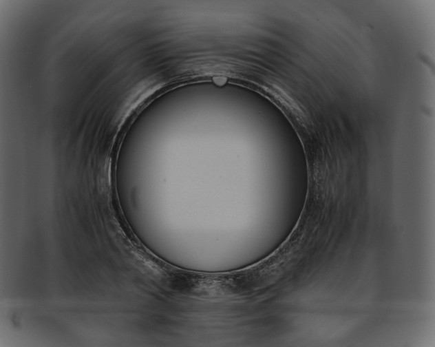 X0000093390790200710191153