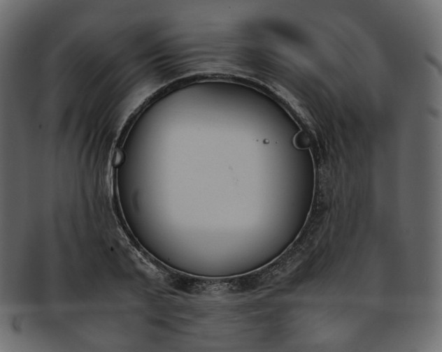 X0000093390791200710191153