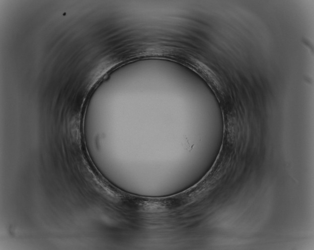 X0000093390794200710191153