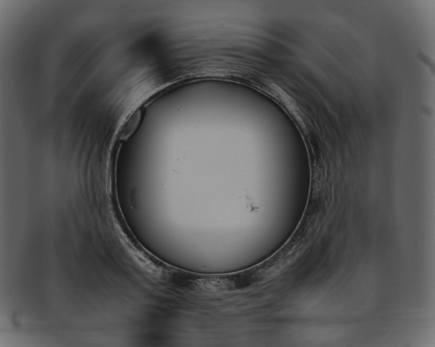 X0000093390795200710191153