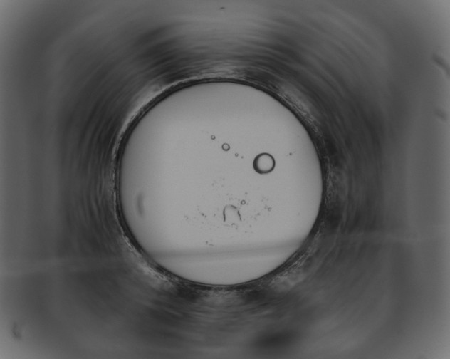 X0000093390800200710191153