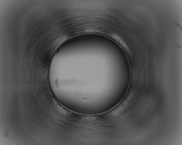 X0000093390801200710191153