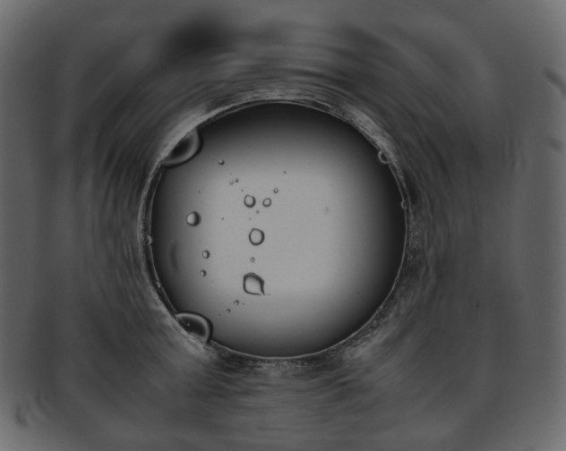 X0000093390803200710191153