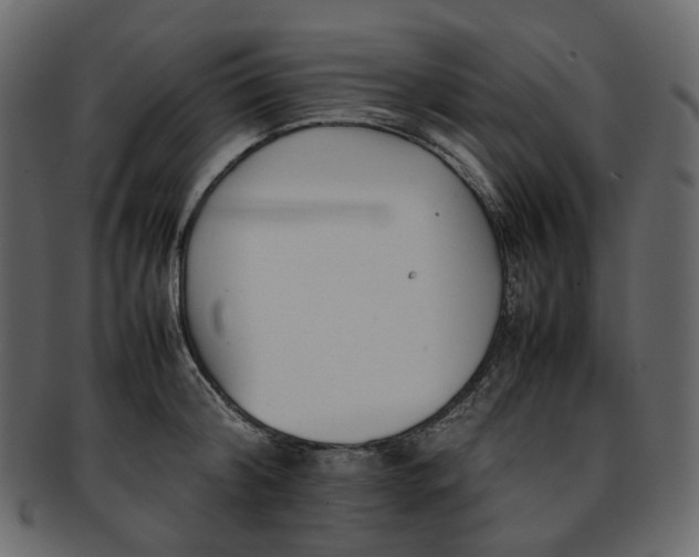 X0000093390804200710191153