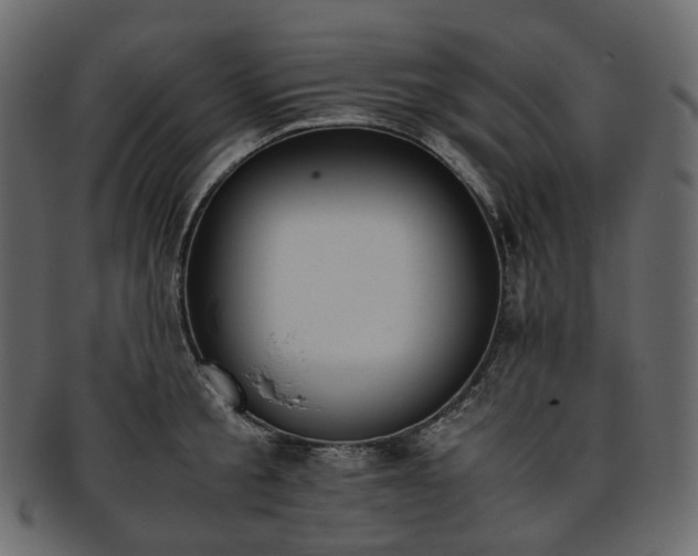 X0000093390805200710191153