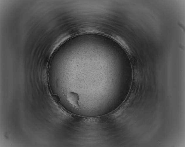 X0000093390806200710191153