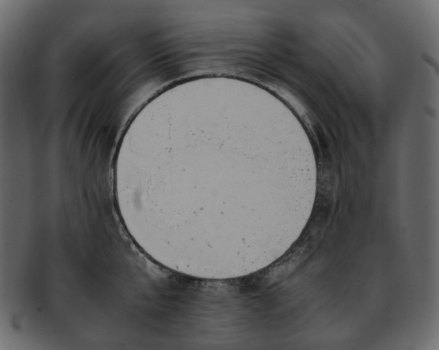 X0000093390807200710191153