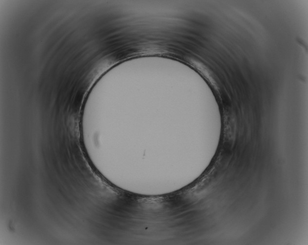 X0000093390810200710191153