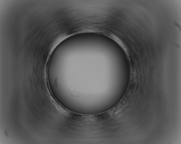 X0000093390811200710191153