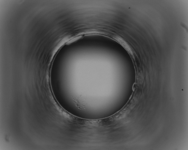 X0000093390813200710191152