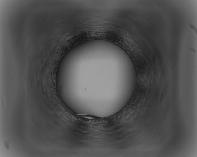 X0000093390817200710191152