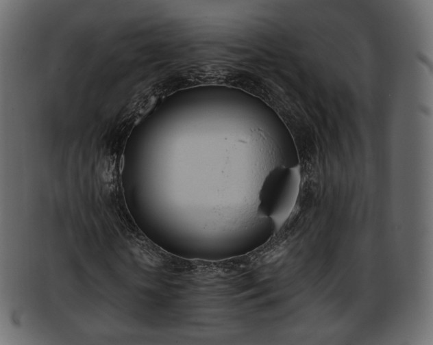 X0000093390818200710191152