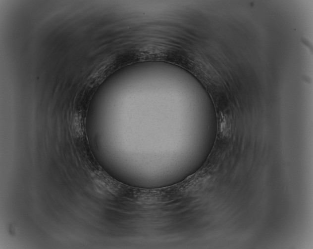 X0000093390819200710191152