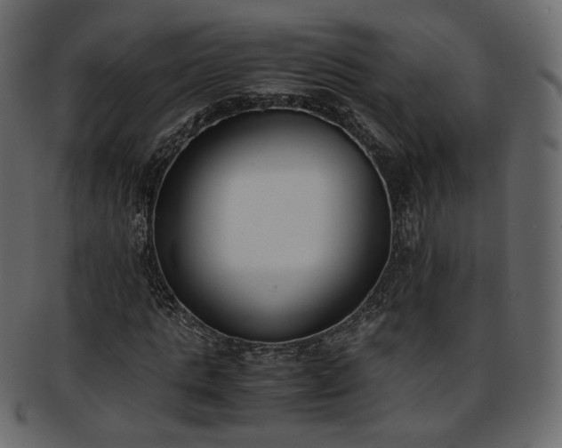 X0000093390821200710191152