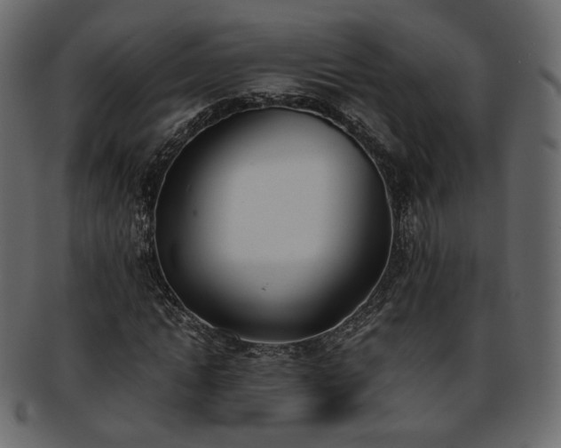 X0000093390822200710191152