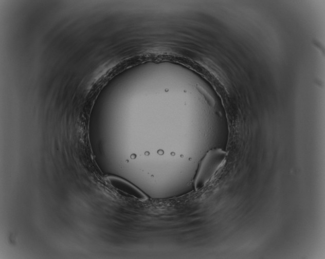 X0000093390823200710191152