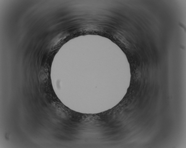 X0000093390824200710191152