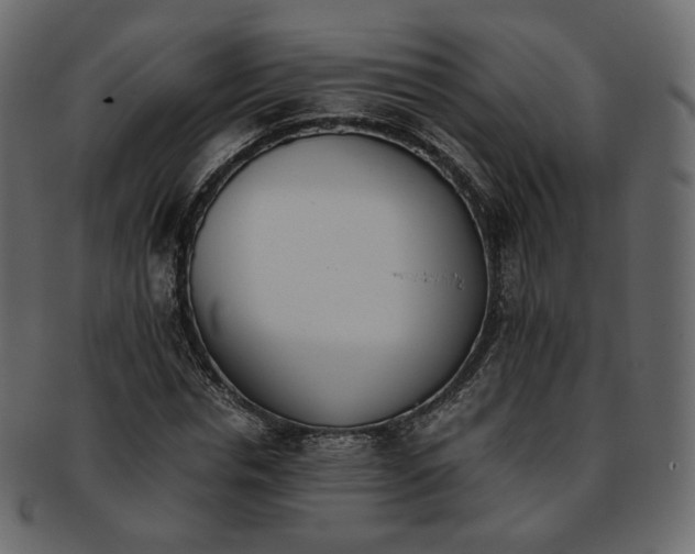 X0000093390826200710191152