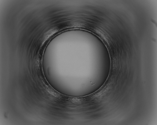 X0000093390827200710191152