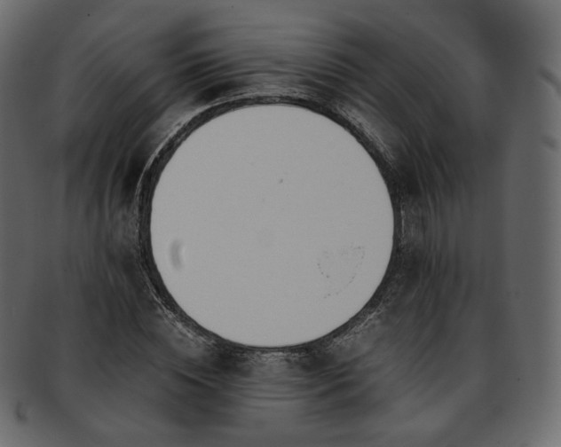 X0000093390828200710191152