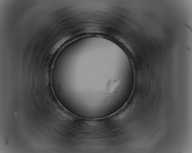 X0000093390829200710191152