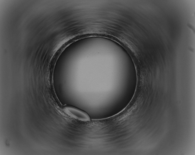 X0000093390830200710191152