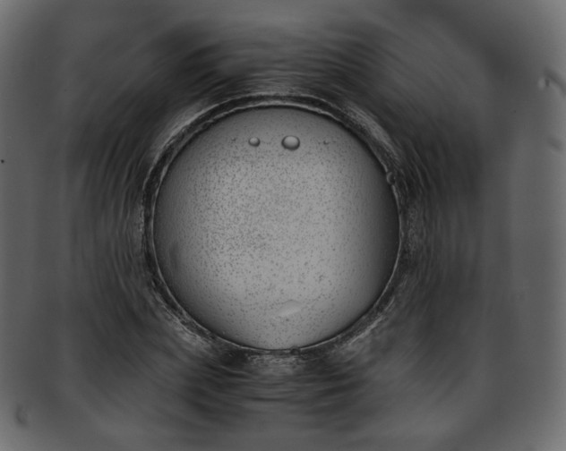 X0000093390831200710191152