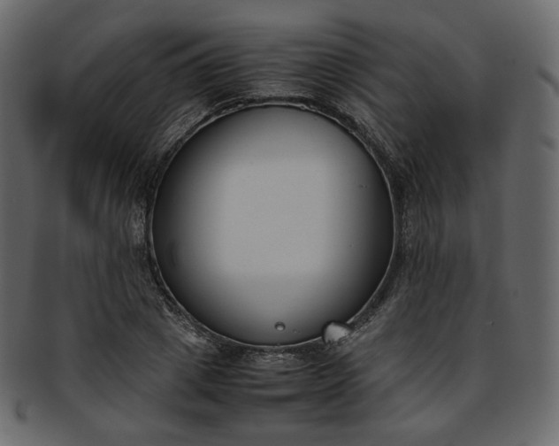 X0000093390833200710191152