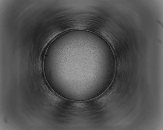 X0000093390835200710191152