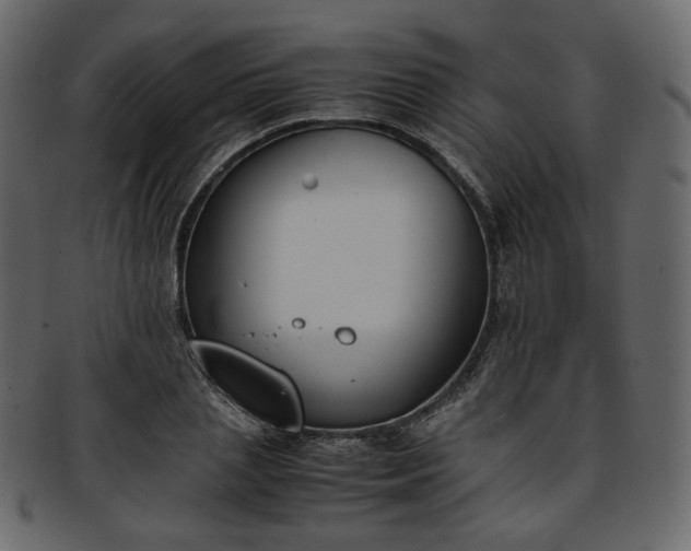 X0000093390837200710191152