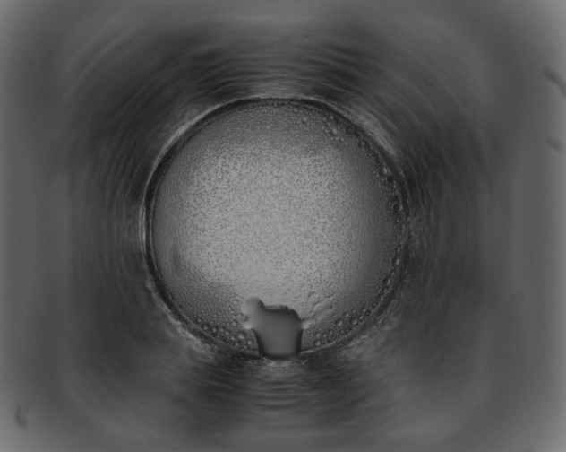 X0000093390839200710191152