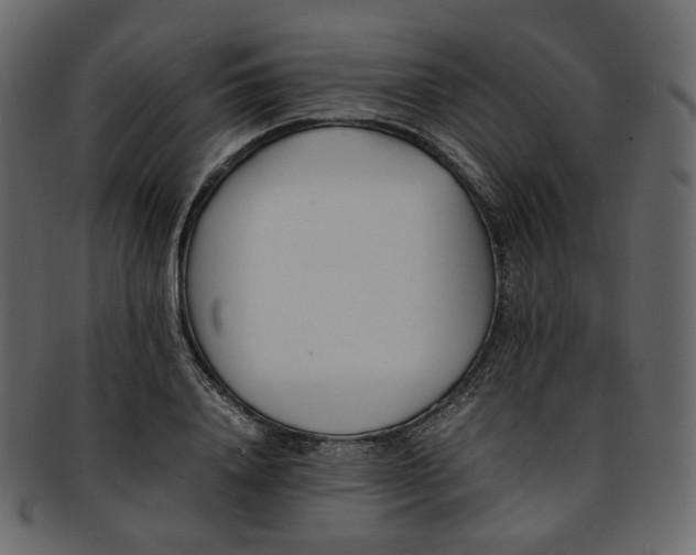 X0000093390840200710191152