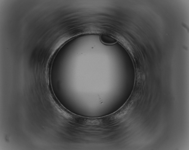 X0000093390843200710191152