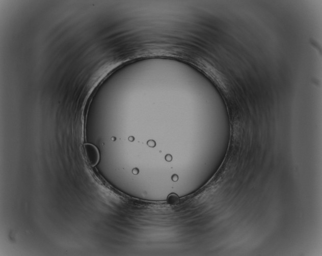 X0000093390844200710191152