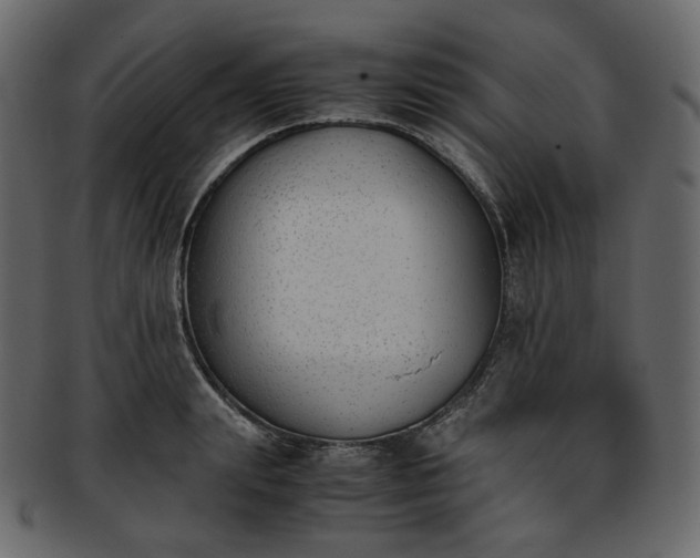 X0000093390847200710191152