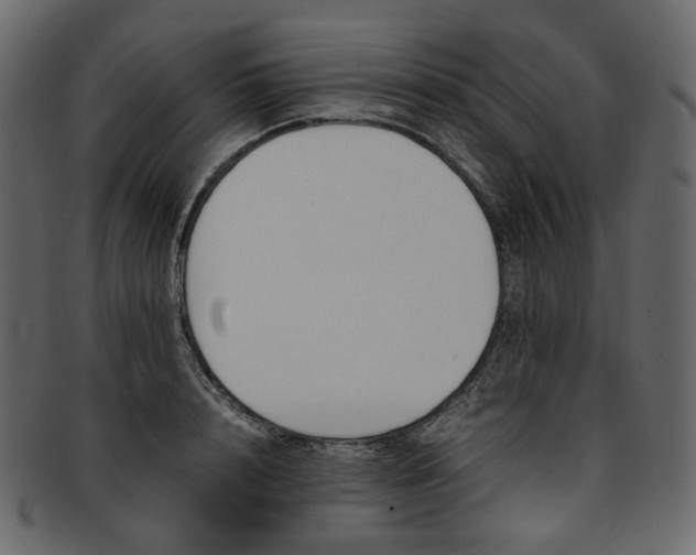 X0000093390848200710191152