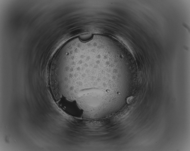 X0000093390851200710191152